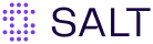 salt_security.png